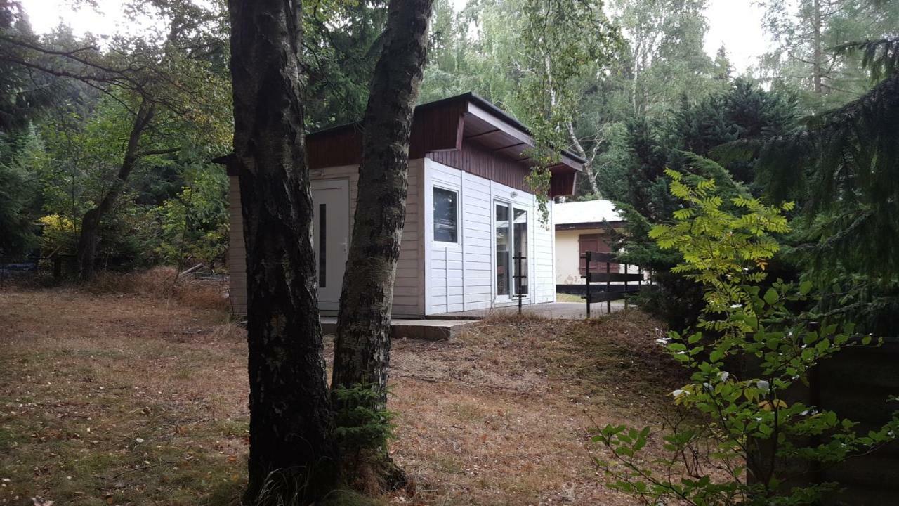 Bungalowdorf Klein Budelsdorf Altenberg Exterior foto